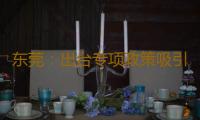东莞：出台专项政策吸引台胞来发展 生活保障持续优化 